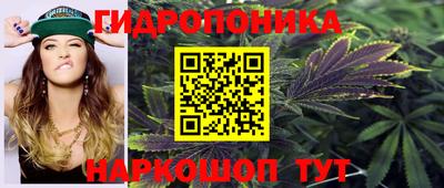 марихуана Кингисепп