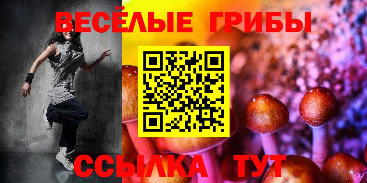 Псилоцибиновые грибы GOLDEN TEACHER Кудрово