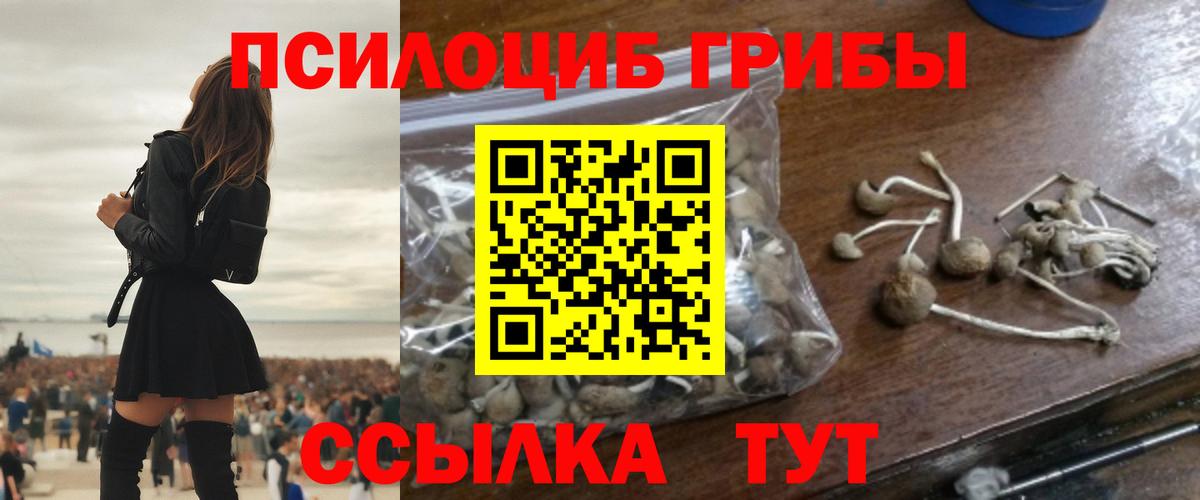 Псилоцибиновые грибы Psilocybine cubensis  Вход с VPN  Псилоцибиновые грибы мухоморы  Кудрово 